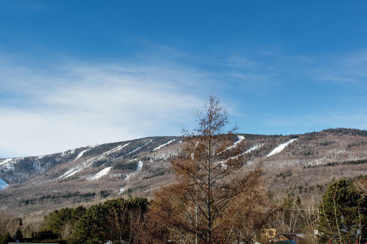 Le Vallon Saint-Ferreol-les-Neiges المظهر الخارجي الصورة